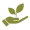 noun-growth-8314079-868B3B